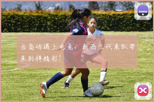 当岛屿遇上电竞，新西兰代表队带来别样精彩！